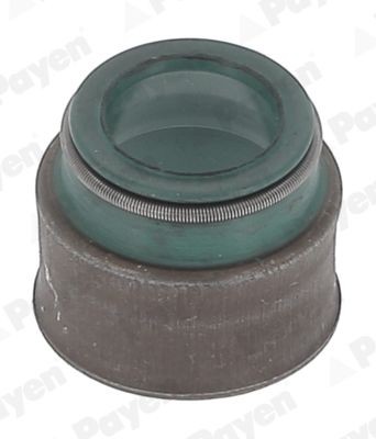 PAYEN FPM (fluoride rubber) Seal Set, valve stem HR5146 buy