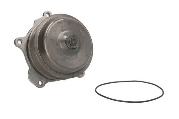THERMOTEC Water pump for engine WP-DF121