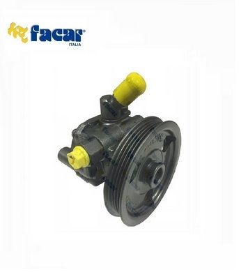 FACAR 805011 Power steering pump 4684 499