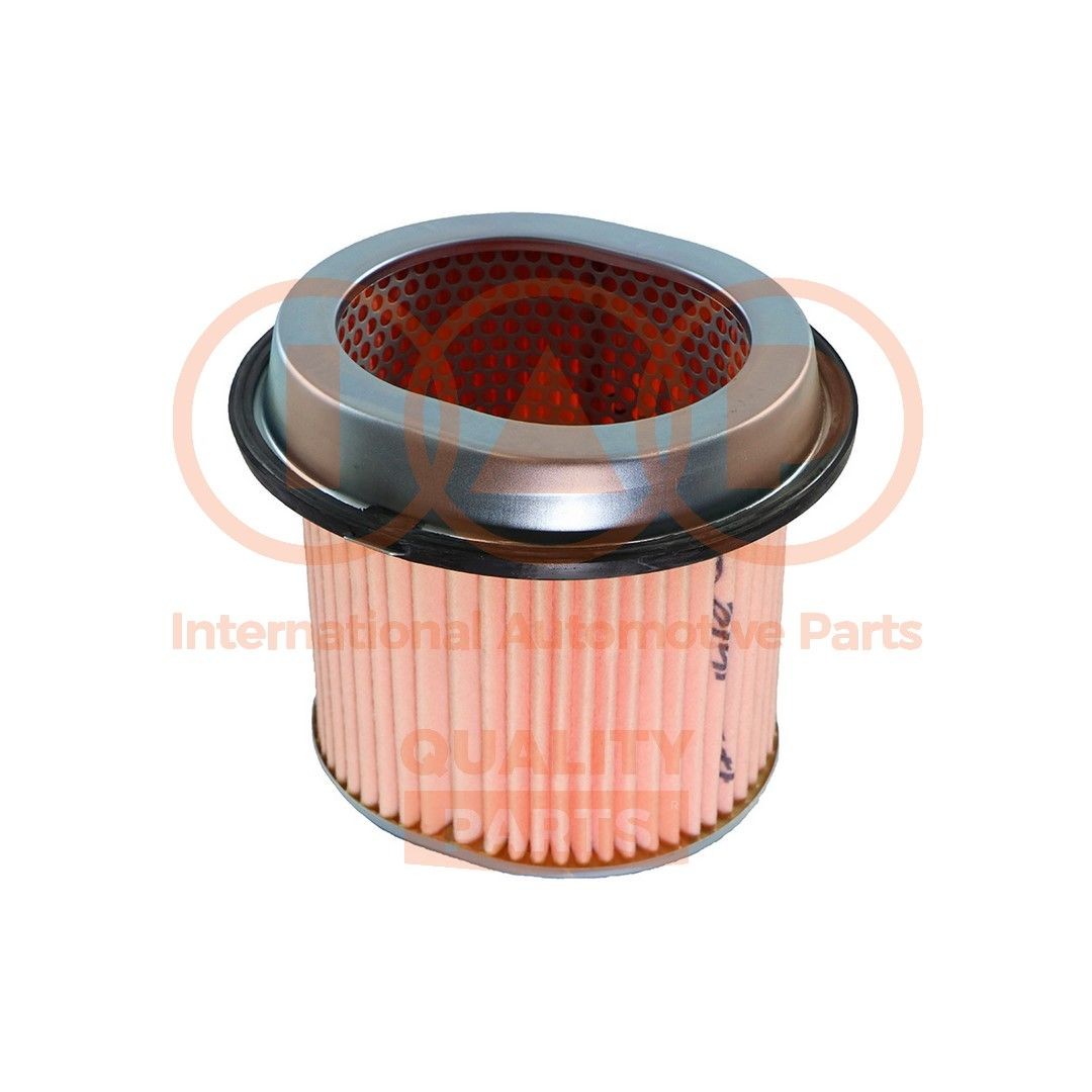 IAP QUALITY PARTS 121-07020G Air filter 170mm, 201mm, Filter Insert