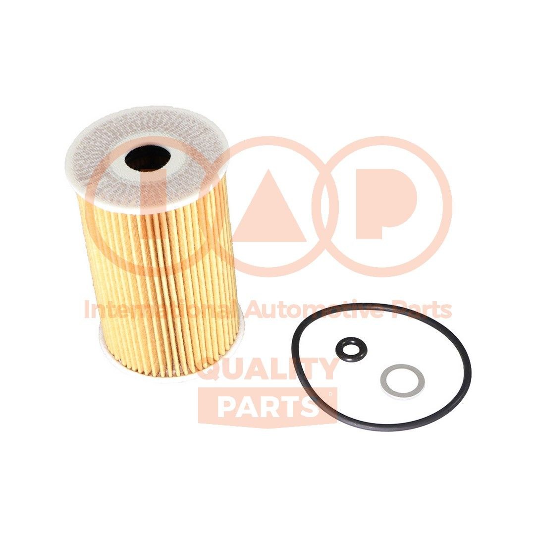 IAP QUALITY PARTS 123-07047G Oil filter S263202A500