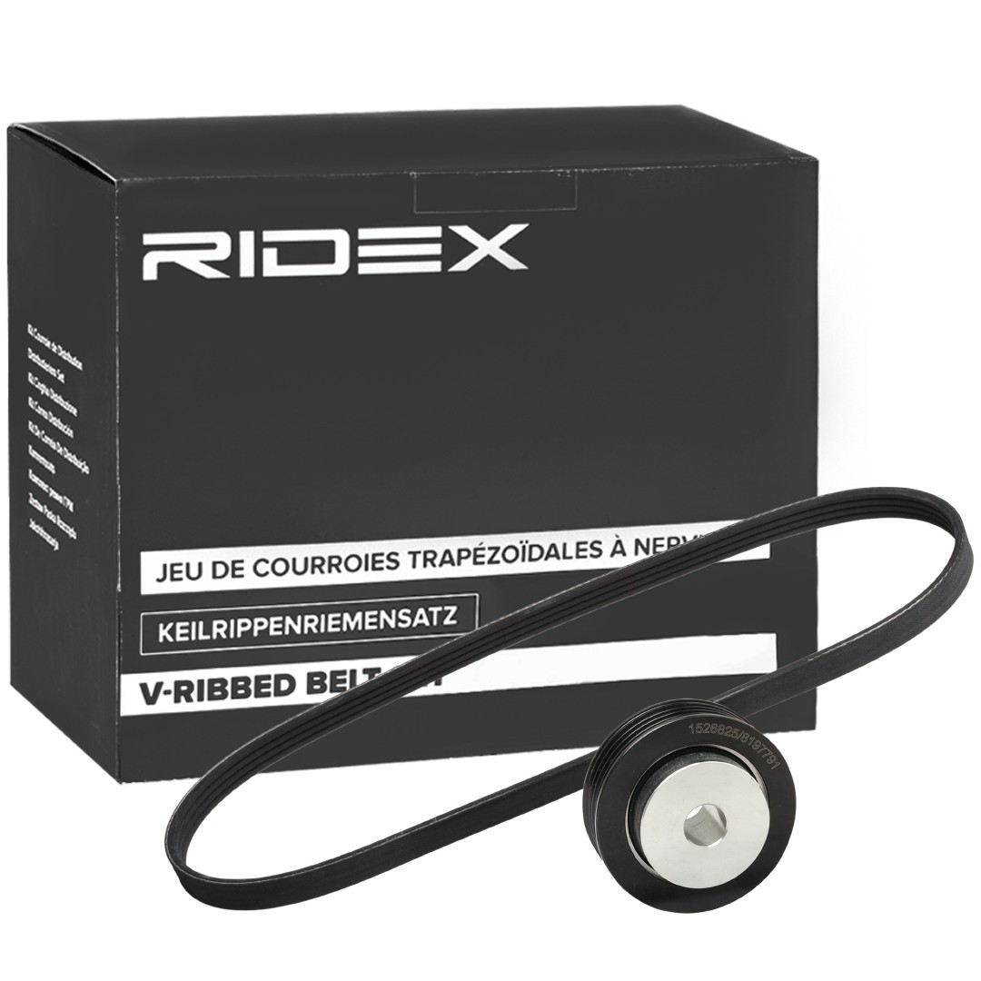RIDEX 542R0272 Tensioner pulley 71742 776
