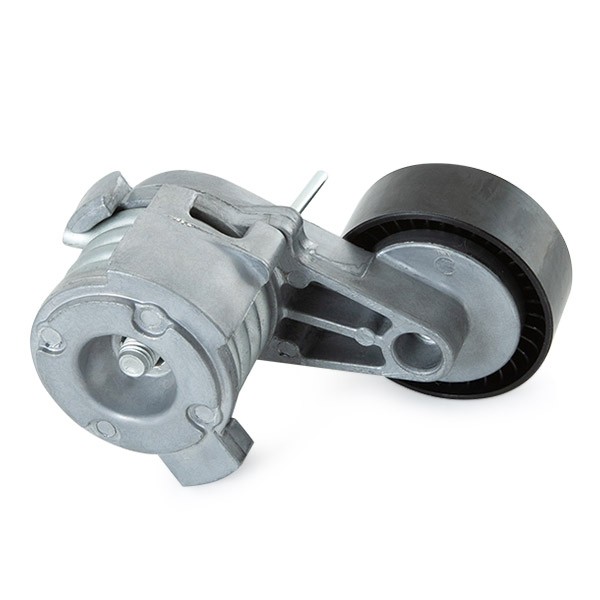 RIDEX 542R0320 V-Ribbed Belt Set Pulleys: with freewheel belt pulley, Check alternator freewheel clutch & replace if necessary