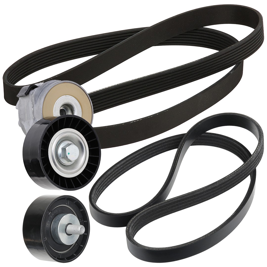 RIDEX 542R0483 IVECO V-ribbed belt kit in original quality