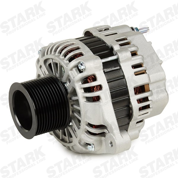 SKGN0320790 Generator STARK SKGN-0320790 review and test