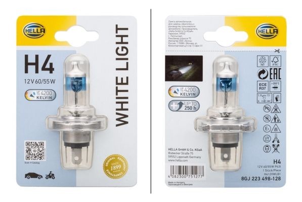 8GJ 223 498-128 HELLA Abblendlicht-Glühlampe für RENAULT TRUCKS online bestellen