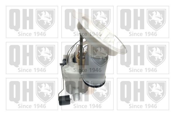 QUINTON HAZELL QFP1070 Fuel pump 16117297778