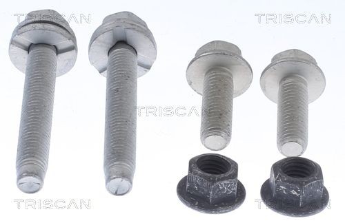 TRISCAN 8500 24403 Repair kit, wheel suspension