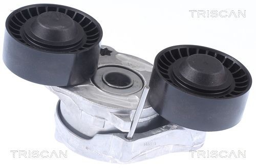 TRISCAN 8641173006 Tensioner pulley GX736B248AA