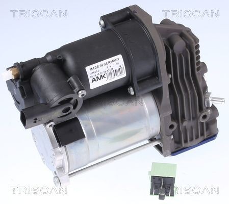 TRISCAN Suspension compressor 8725 11102 buy