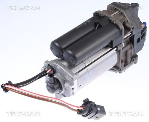 TRISCAN 872581101 Air suspension compressor 1027911-00-F