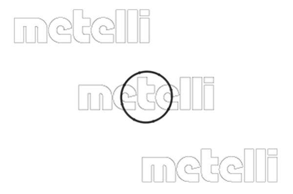 METELLI Water pump for engine 24-1350