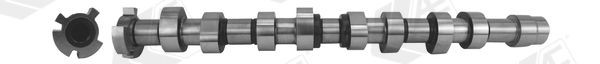 AE Camshaft CAM1005 Volkswagen POLO 1998