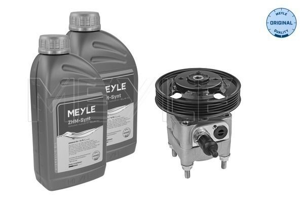Great value for money - MEYLE Power steering pump 514 631 0021/S