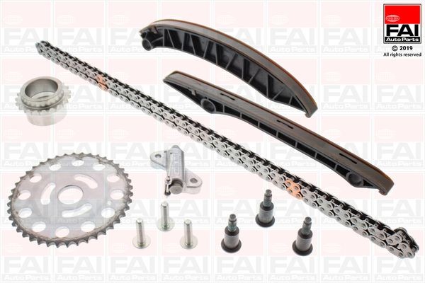 Timing chain kit FAI AutoParts with gears, without gaskets/seals, Simplex, Bolt Chain - TCK362NG