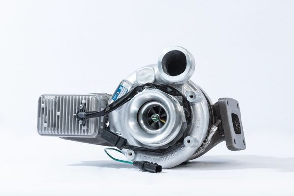 BorgWarner Pump, all-wheel-drive coupling DS118613 buy