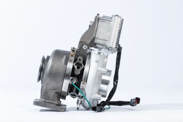 BorgWarner Hydraulic Filter, Haldex coupling DS120359 buy