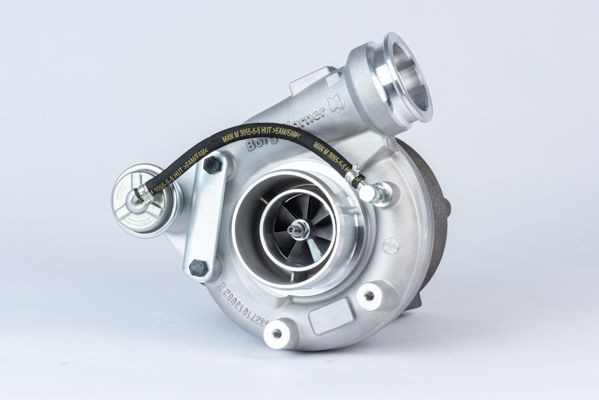 BorgWarner Pump, all-wheel-drive coupling DS2001261 buy