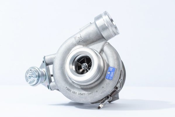 DS2010676 BorgWarner Pump, all-wheel-drive coupling - buy online