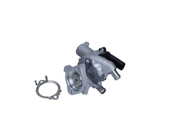 Nissan NAVARA EGR valve MAXGEAR 27-4071 cheap
