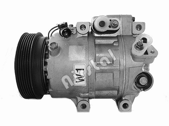 Airstal 10-0919 Air conditioning compressor 977012B150