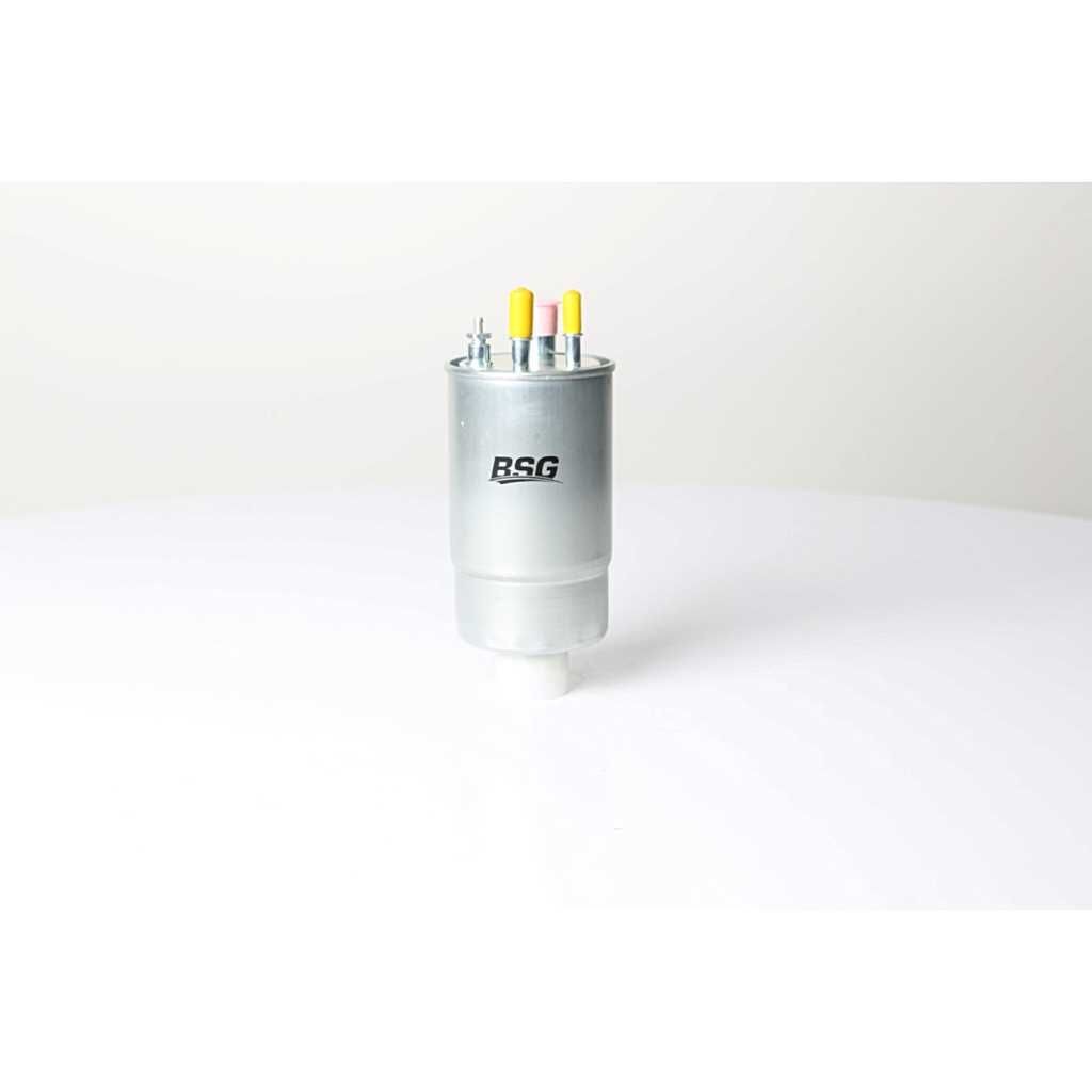 25130001 BSG BSG25-130-001 Fuel filter 1578143