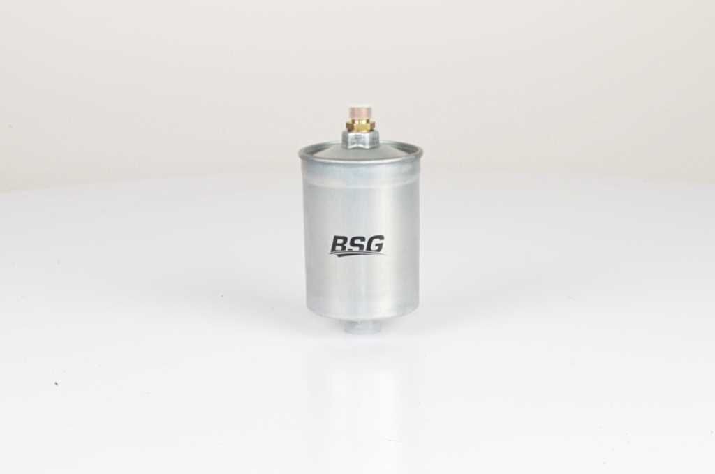 60130010 BSG BSG60-130-010 Fuel filter A0024774501
