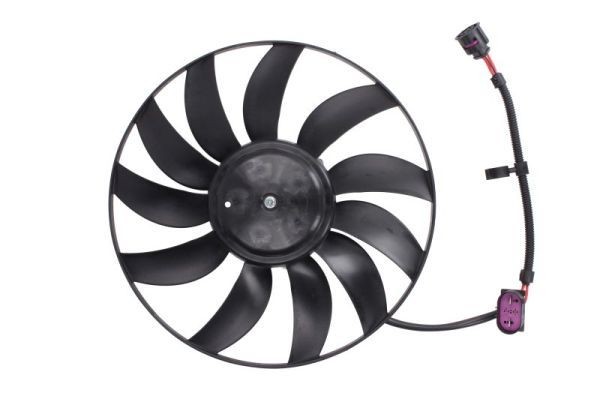 Great value for money - THERMOTEC Fan, radiator D8W045TT