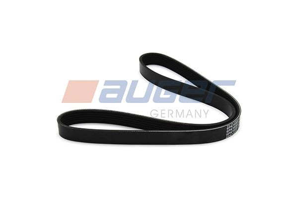 AUGER Alternator belt 80017 buy