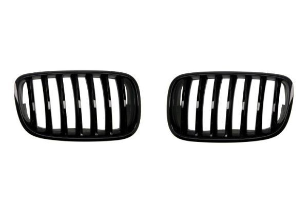BLIC 6502-07-0096990P BMW X5 2009 Grille assembly