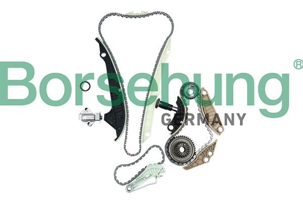 Borsehung B19209 Volkswagen TOURAN 2021 Cam chain kit