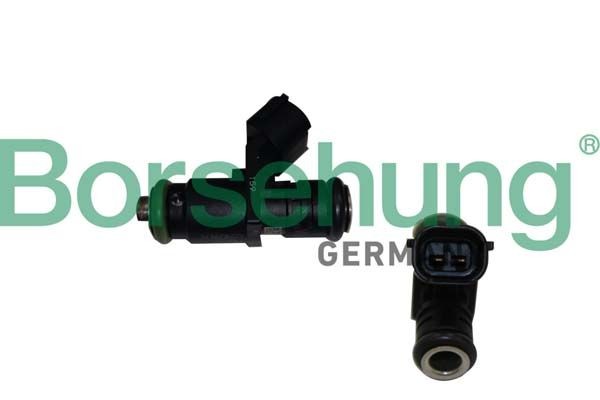 Original B19238 Borsehung Injectors experience and price