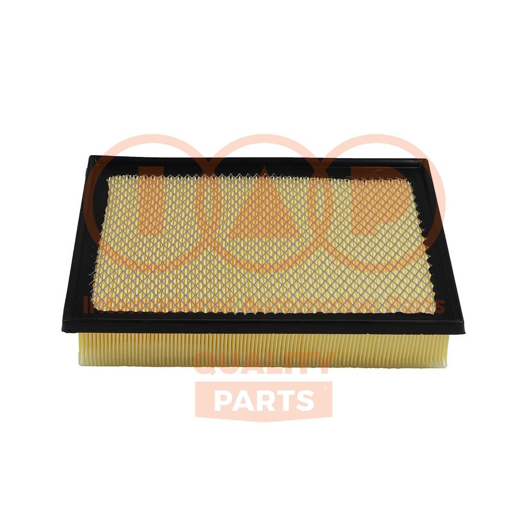 12117160 Engine air filter IAP QUALITY PARTS 121-17160 review and test
