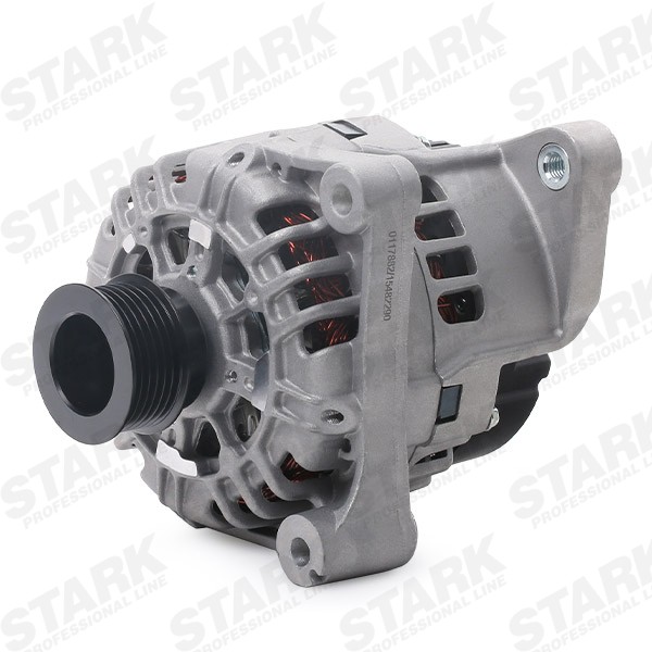 SKGN0321364 Generator STARK SKGN-0321364 review and test