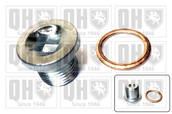 QUINTON HAZELL QOC1003 Seal Ring, nozzle holder 282 997 03 45