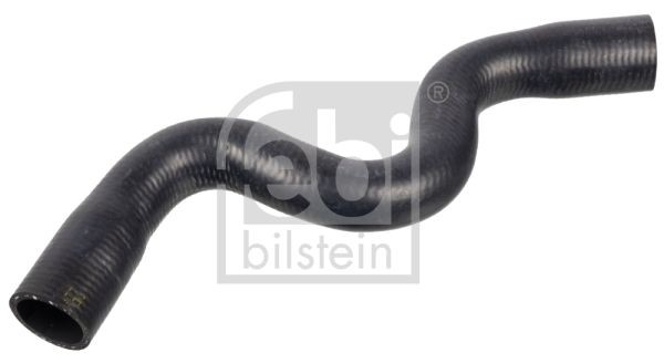 Renault LAGUNA Coolant hose 15490822 FEBI BILSTEIN 170983 online buy