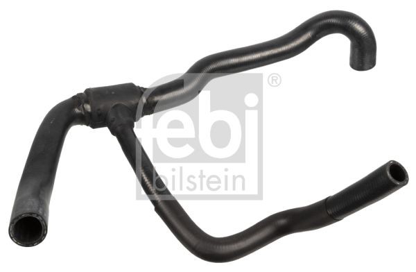 Renault LAGUNA Radiator hose 15490828 FEBI BILSTEIN 170989 online buy