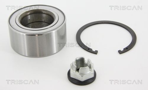 TRISCAN 853025135A Wheel bearing kit 402106501R
