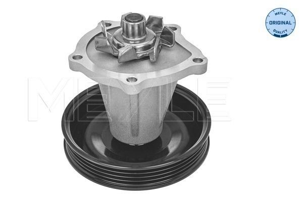 29-13 220 0002 MEYLE Water pumps CHEVROLET with V-ribbed belt pulley, with seal, for v-ribbed belt use