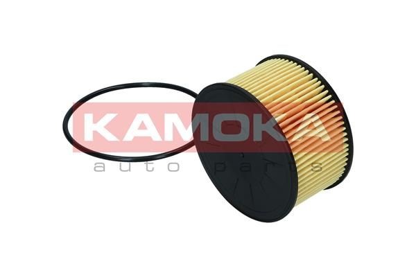 F116501 Oil filters KAMOKA F116501 review and test