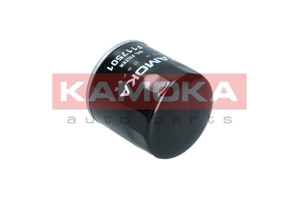 F117501 Oil filters KAMOKA F117501 review and test
