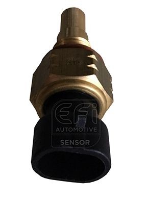 EFI AUTOMOTIVE 295066 Oil temperature sensor 850413