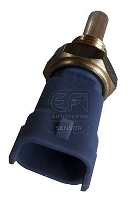 EFI AUTOMOTIVE 295097 Oil temperature sensor 2R0 919 501 B