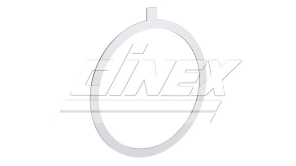 DINEX 8AL001 Dichtung, Abgasrohr für RENAULT TRUCKS D-Serie LKW in Original Qualität