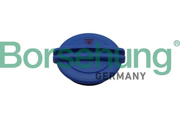 Volkswagen TOURAN Expansion tank cap Borsehung B19281 cheap