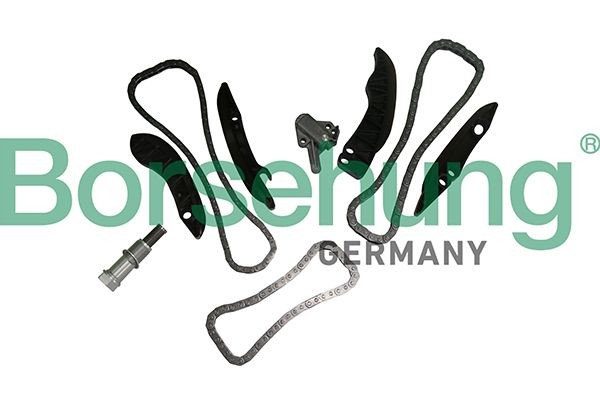 BMW X6 Timing chain kit Borsehung B19295 cheap