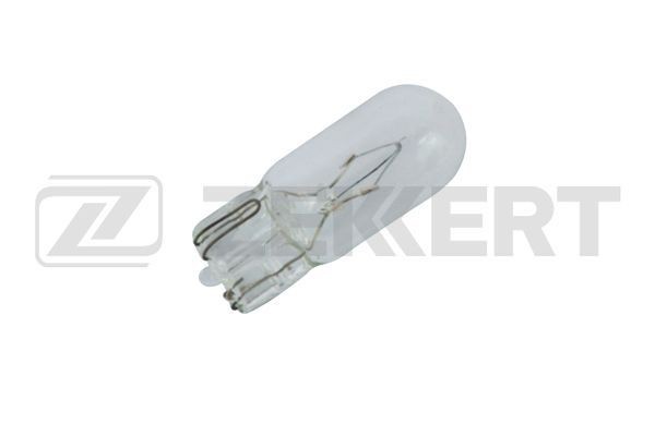 Gloeilamp, knipperlamp LP-1143 van ZEKKERT voor DAF: bestel online