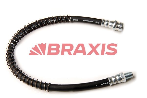 AH0221 BRAXIS Bremsschlauch für TERBERG-BENSCHOP online bestellen