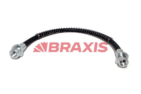 AH0578 BRAXIS Bremsschlauch für TERBERG-BENSCHOP online bestellen