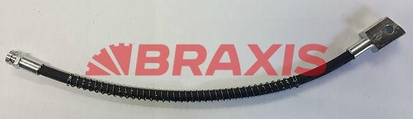 AH0787 BRAXIS Bremsschlauch für TERBERG-BENSCHOP online bestellen
